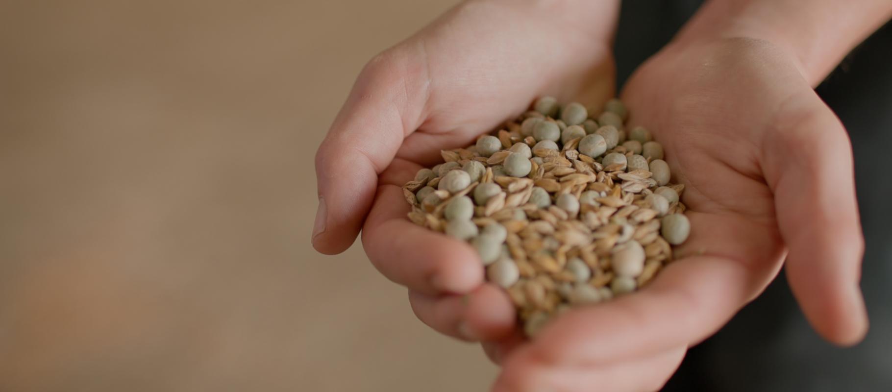 Cornish Life Stories - Farming