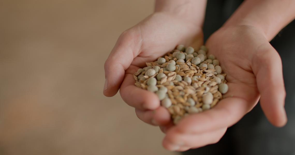 Cornish Life Stories - Farming